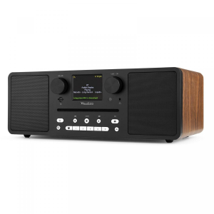 17451529762687-audizionapleswo60wlegno