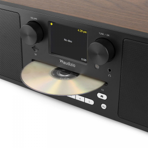 17451529821057-audizionapleswo60wlegno