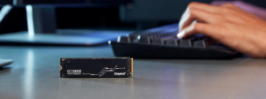 17451808411061-kingstontechnology1024gkc3000m22280nvmessd