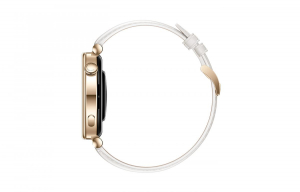 17451887072699-huaweiwatchgt4335cm132amoled41mmdigitale466x466pixelorowifigpssatellitare