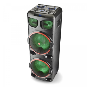1745189014204-ngswilddub2altoparlanteportatilestereonero800w