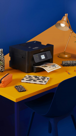 17451938184655-epsonworkforceprowf3820dwf