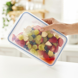 17452170086556-rothocliclockrettangolarecontenitore15lblutrasparente1pz