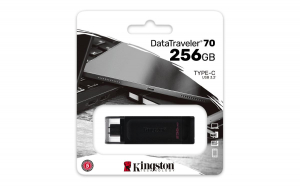 17452665901726-kingstontechnologydatatraveler256gbusbc32gen170