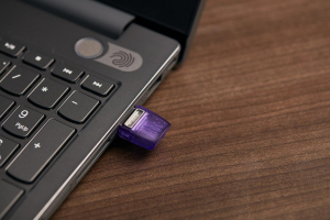 17452669455744-kingstontechnologydatatraveler256gbmicroduo3c200mbsdualusbausbc