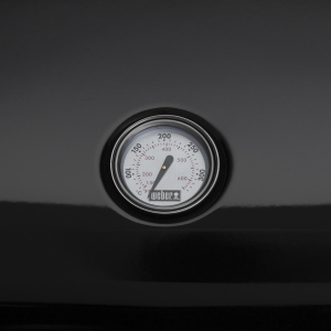 1745310145354-weberluminbarbecuedatavoloelettriconero2200w