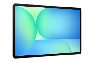 17453458566196-samsunggalaxytabs10fe5g