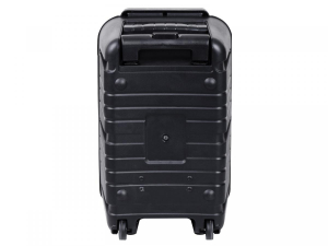 1745395467008-trevixfestaltoparlantetrolley40wwirelessusbmicrosdauxintwsxf460