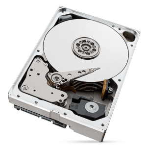 1745409762627-seagateironwolfprost10000nt001discorigidointerno10tb7200girimin256mb35serialataiii