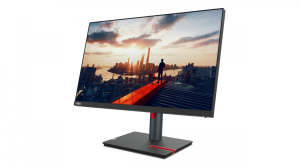 1745432717065-lenovothinkvisionp24h30leddisplay605cm2382560x1440pixelquadhdnero