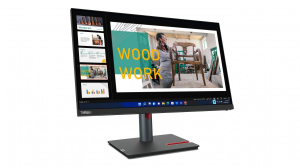 17454328969227-lenovothinkvisionp24q30leddisplay605cm2382560x1440pixelquadhdnero
