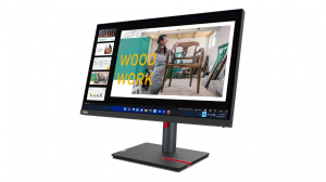 17454328984404-lenovothinkvisionp24q30leddisplay605cm2382560x1440pixelquadhdnero