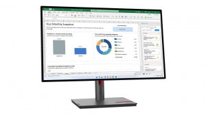 1745434598577-lenovothinkvisionp27h30leddisplay686cm272560x1440pixelquadhdlcdnero