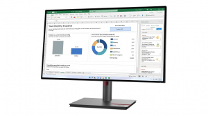 1745434599977-lenovothinkvisionp27h30leddisplay686cm272560x1440pixelquadhdlcdnero
