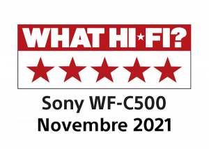 17454614389618-sonyauricolariwfc500truewirelessfinoa20orediduratadellabatteriaconcustodiadiricaricacompatibileconlassistentevocalemicrofonointegratoperletelefonateconnessionebluetoothaffidabilebianco