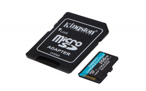 17454696368184-kingstontechnologycanvasgoplusschedamicrosdxccanvasgoplus170ra2u3v30da256gbadattatore