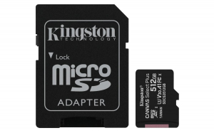 1745474541811-kingstontechnologycanvasselectschedamicsdxcplus100ra1c10da512gbadattatore