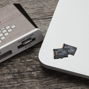 17454745471053-kingstontechnologycanvasselectschedamicsdxcplus100ra1c10da512gbadattatore