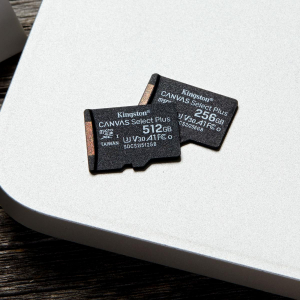 17454745482183-kingstontechnologycanvasselectschedamicsdxcplus100ra1c10da512gbadattatore