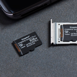 17454745495564-kingstontechnologycanvasselectschedamicsdxcplus100ra1c10da512gbadattatore