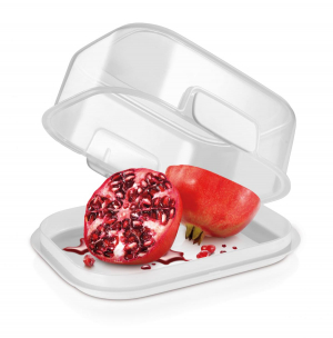 17455252314379-tescomacontenitore17x13cmfreshzone