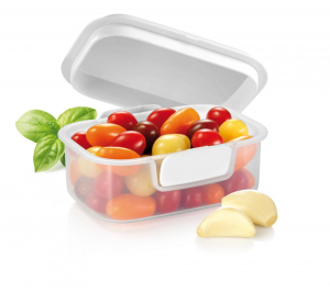 1745525242469-tescomacontenitore20x16cmfreshzone