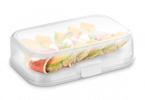 17455252485323-tescomacontenitore30x20cmfreshzone