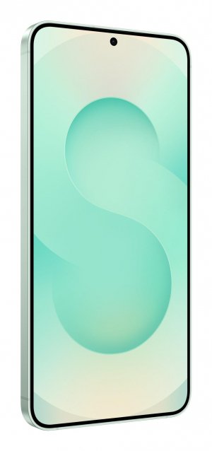 17455898294458-samsunggalaxys2517cm67doppiasimandroid155gusbtipoc12gb256gb4900mahcolorementa