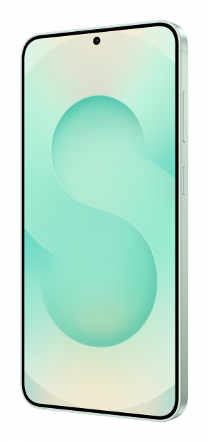 17455898305249-samsunggalaxys2517cm67doppiasimandroid155gusbtipoc12gb256gb4900mahcolorementa