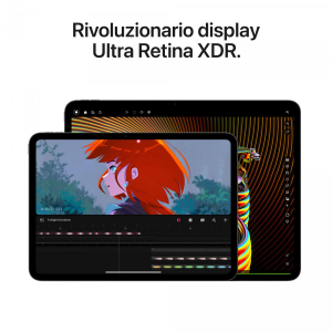 17455981137067-appleipadpro11wifi256gbstandardglassargento
