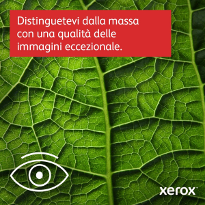 17456112244672-xeroxc320a433ppmstampantefronteretrowirelessps3pcl5e62vassoitotale251fogli