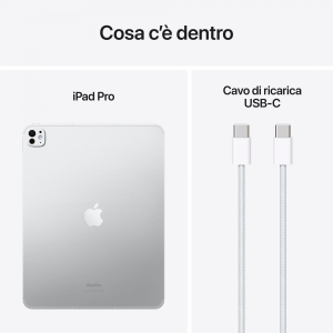 17456201348575-appleipadpro13wificellular256gbstandardglassargento