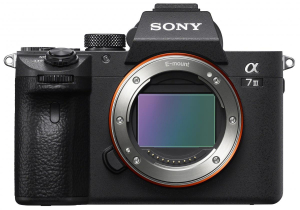 17456203936656-sony7iiife24105mmf4gossmilc242mpcmos6000x4000pixelnero