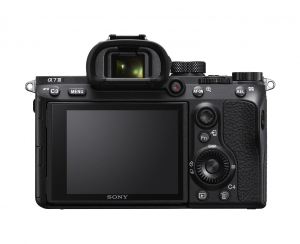 17456203991182-sony7iiife24105mmf4gossmilc242mpcmos6000x4000pixelnero