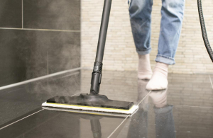 17456907890948-karcherpulitoreavaporesc3easyfix