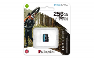 17457343703504-kingstontechnologycanvasgoplusschedamicrosdxccanvasgoplus170ra2u3v30da256gbconfezionesingolasenzaadattatore