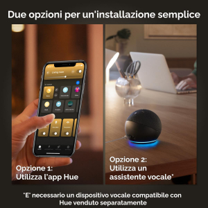 17457841265332-philipshuewhite2lampadinesmarte2760w