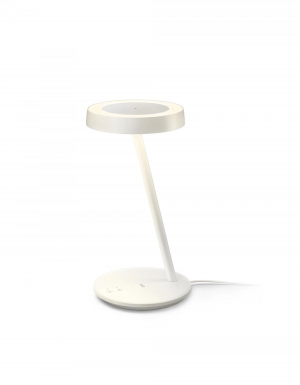 17457844683131-wizportraitdesklamp