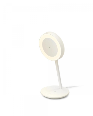 17457844692707-wizportraitdesklamp