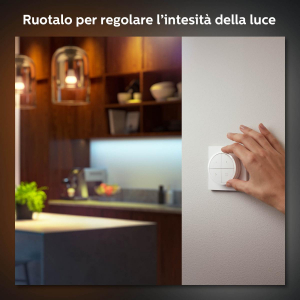 17457847652439-philipshuetapdialswitchinterruttorewirelessbianco