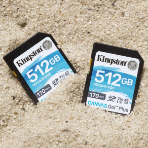 17458070469412-kingstontechnologycanvasgoplusschedasdxccanvasgoplus170rc10uhsiu3v30da512gb