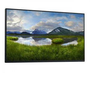 17460439040328-dellpseriesp2425hewostmonitorpc61cm241920x1080pixelfullhdlcdnero