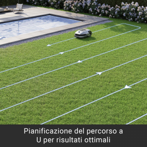 17460652605236-dreamea1tagliaerbarobotizzatobatterianerorossoargento