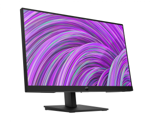 17462099229621-hpp22hg5fhdmonitor