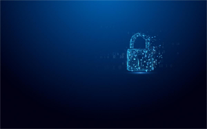 17462595187006-kingstontechnologyironkey512gbvaultprivacy50crittografiaaes256fips197
