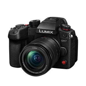 17463962419957-panasonicgh71260mmf3556corpomilc255mpbsicmos5776x4336pixelnero