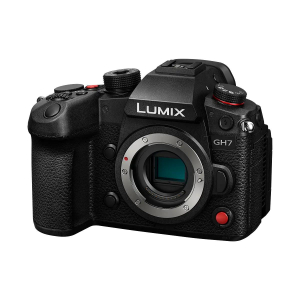 17463962444286-panasonicgh71260mmf3556corpomilc255mpbsicmos5776x4336pixelnero