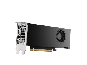 17464177089536-pnyrtx2000adanvidiartx2000ada16gbgddr6