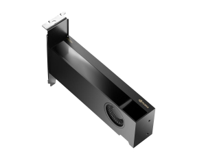 17464177108252-pnyrtx2000adanvidiartx2000ada16gbgddr6