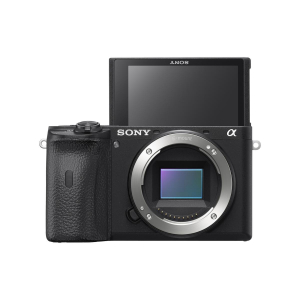 17464910066753-sonyilce6600bcorpomilc242mpcmos6000x4000pixelnero
